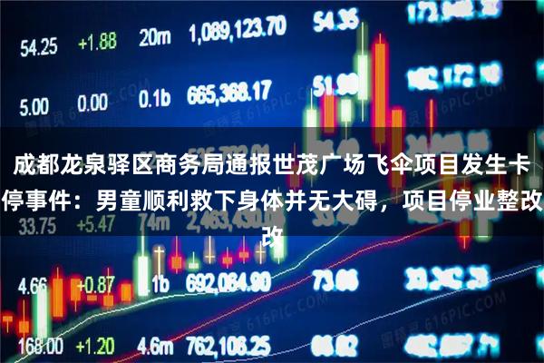 成都龙泉驿区商务局通报世茂广场飞伞项目发生卡停事件：男童顺利救下身体并无大碍，项目停业整改