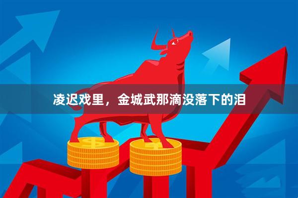 凌迟戏里，金城武那滴没落下的泪