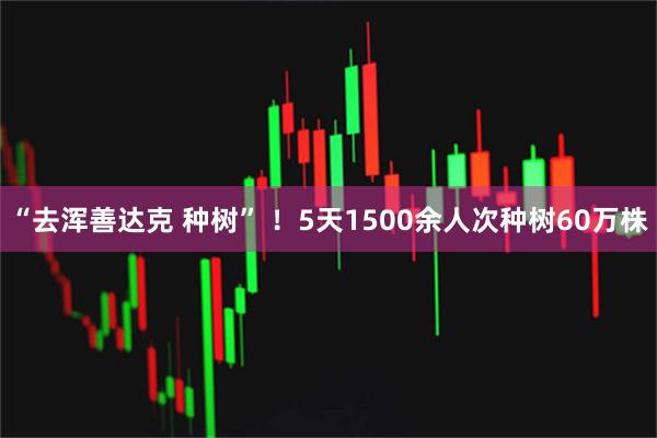 “去浑善达克 种树” ！5天1500余人次种树60万株