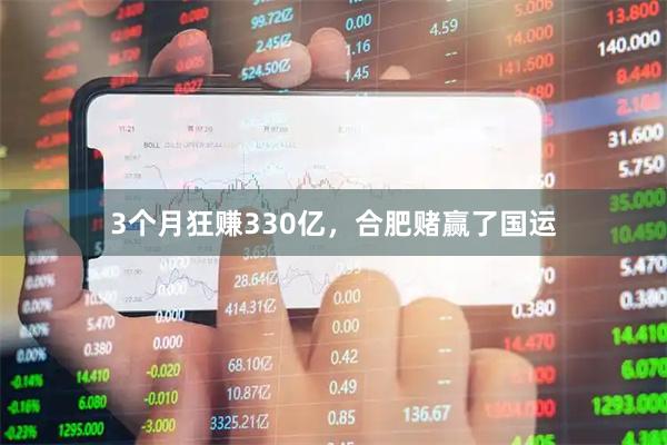 3个月狂赚330亿，合肥赌赢了国运