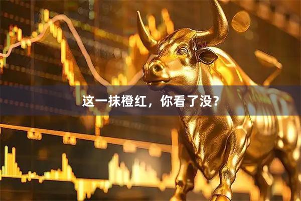这一抹橙红，你看了没？